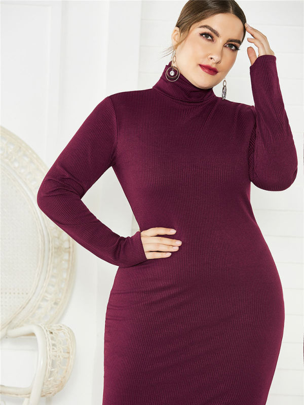 Cozy Turtleneck Knit Midi Dress
