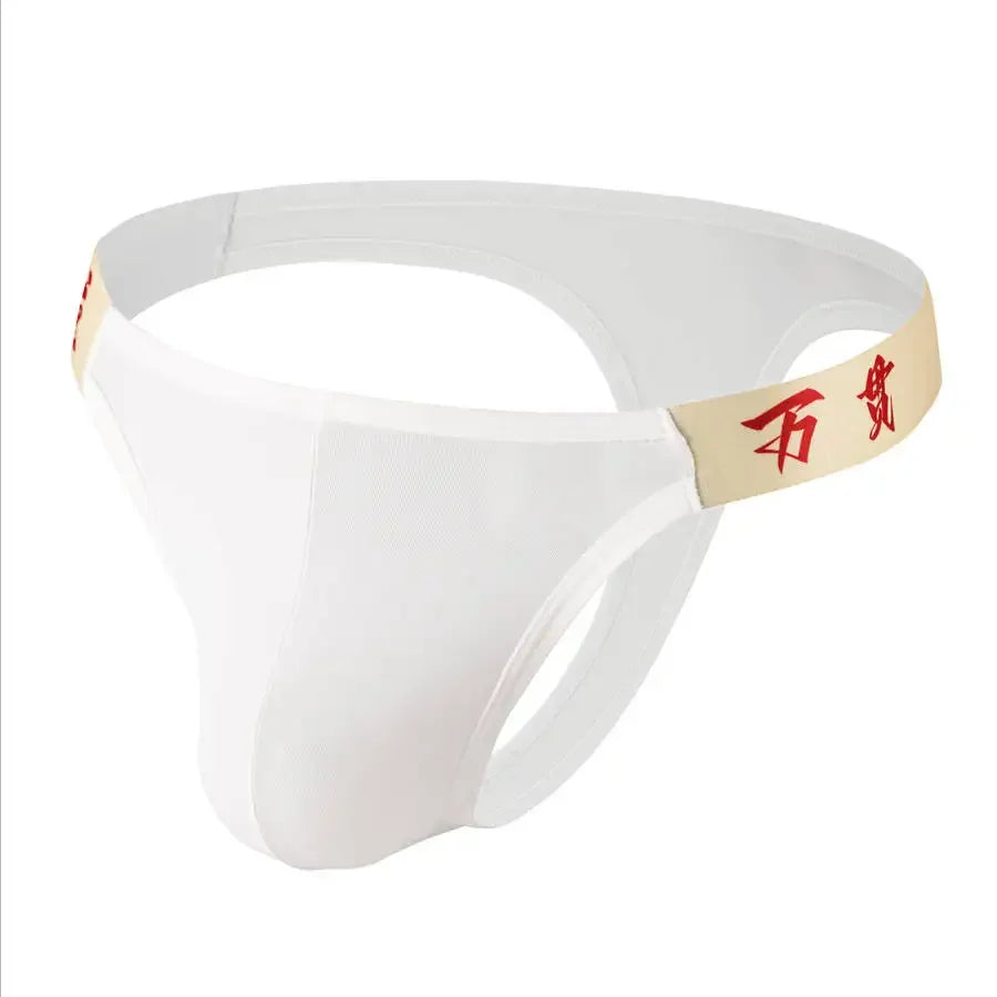 Sous-vêtements tendance pour hommes, couleur unie, en maille respirante, sexy, culottes pour hommes, taille basse, gays