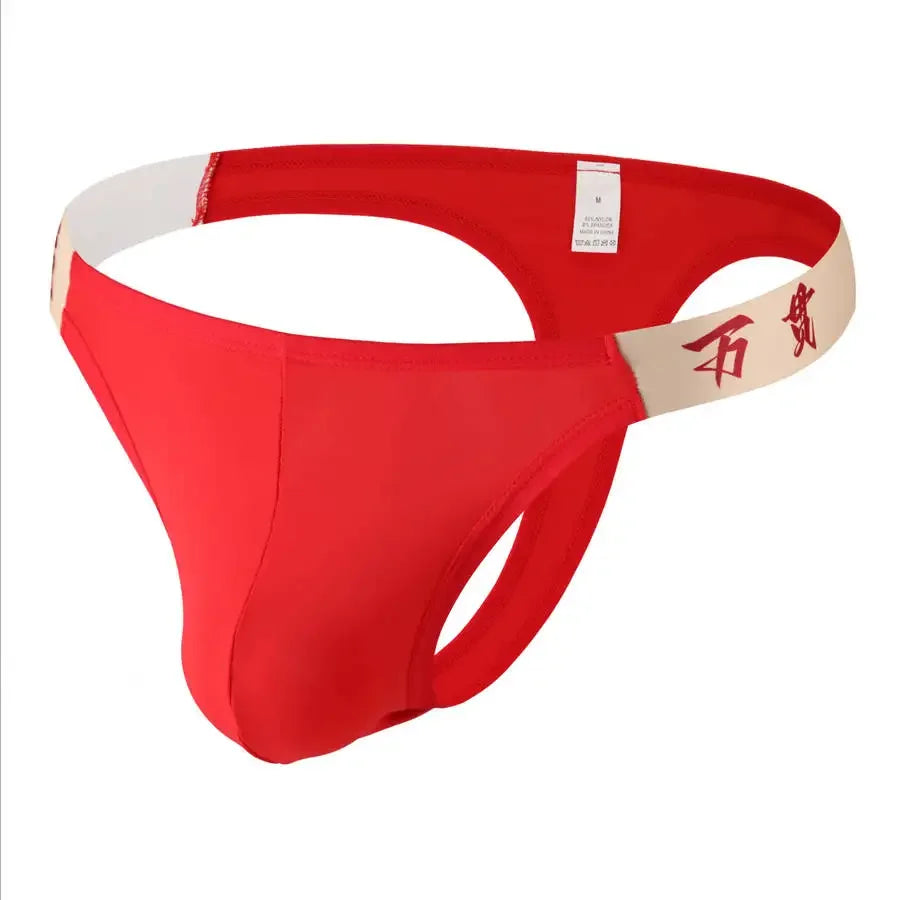 Sous-vêtements tendance pour hommes, couleur unie, en maille respirante, sexy, culottes pour hommes, taille basse, gays