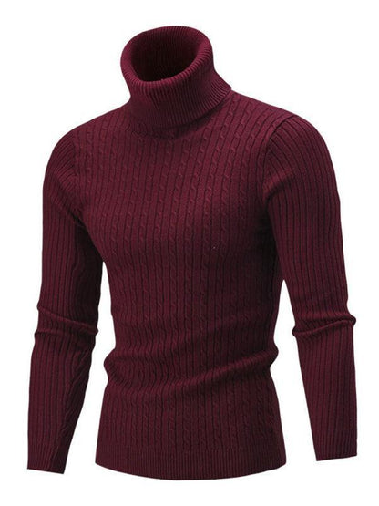 Casual Tight Stretch Men Sweater Turtleneck - Pullover Sweater - LeStyleParfait